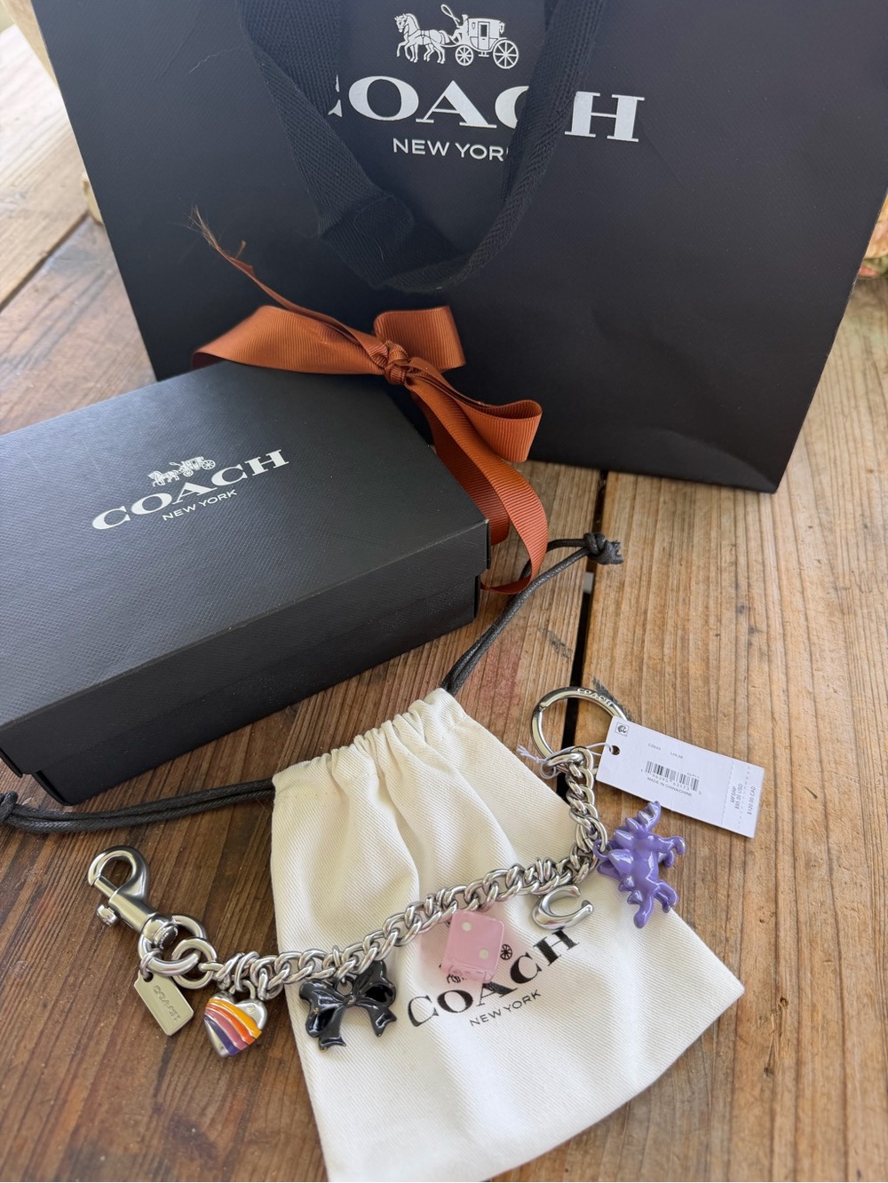 Coach NIB silver motif purse chain Dino heart bow dice and C box bag jacket.